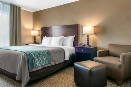 Comfort Inn & Suites Near Indiana Dunes State Park - image 3