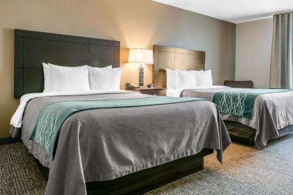 Comfort Inn & Suites Near Indiana Dunes State Park - image 4