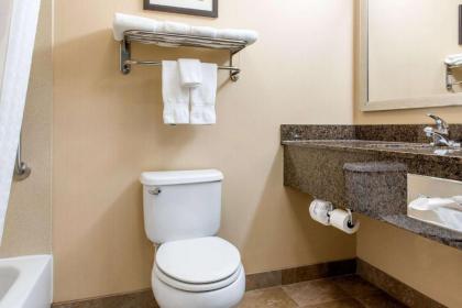 Comfort Inn & Suites Near Indiana Dunes State Park - image 7