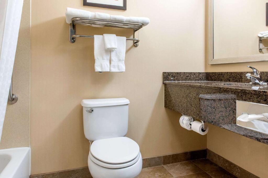 Comfort Inn & Suites Near Indiana Dunes State Park - image 7