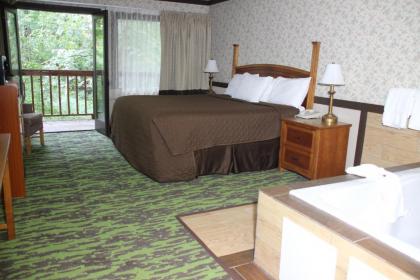 Spring House Inn - image 10