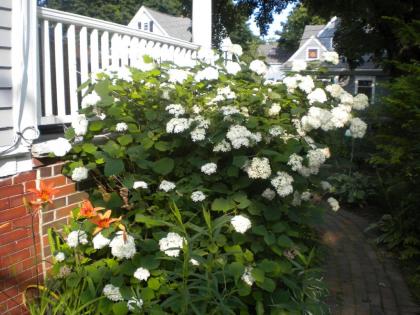 Fleetwood House Bed and Breakfast - image 14