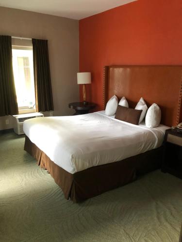 Downtown Value Inn - image 3