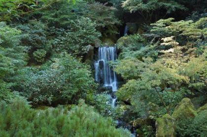 Portland International Guesthouse - image 4