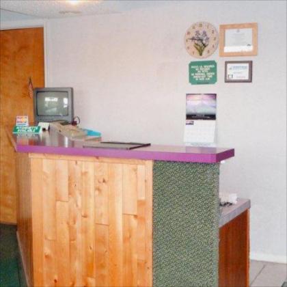 Pottsville Motor Inn - image 2