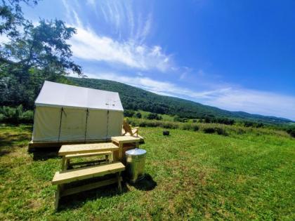 tentrr Signature Site   maybrook Farm   the Ridge