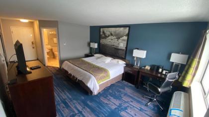 Super 8 by Wyndham Prairie Du Chien - image 9