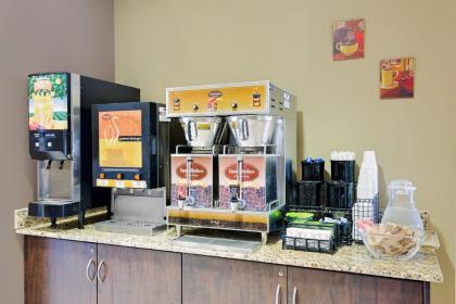 Microtel Inn & Suites by Wyndham Prairie du Chien - image 14