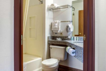 Quality Inn & Suites - image 11