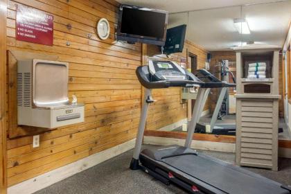 Quality Inn & Suites - image 7