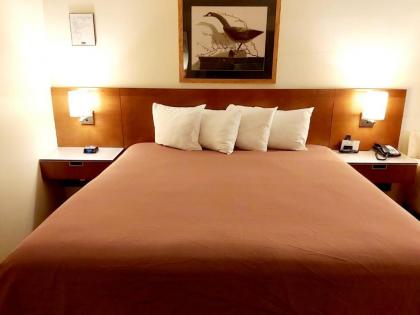 Windsor Place Inn - image 10