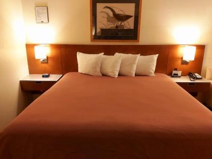 Windsor Place Inn - image 12