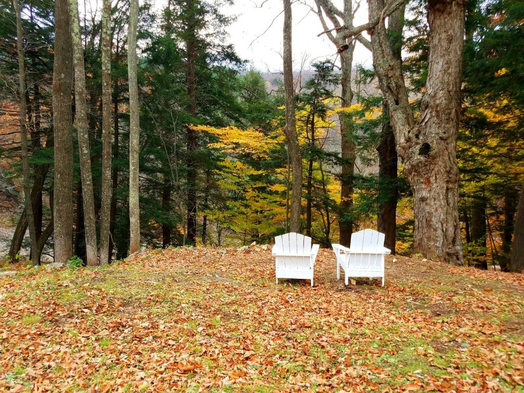 Black Bear Lodge - main image