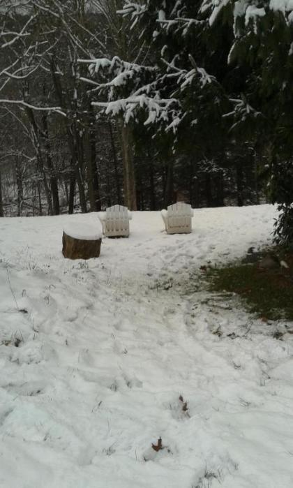 Black Bear Lodge - image 11