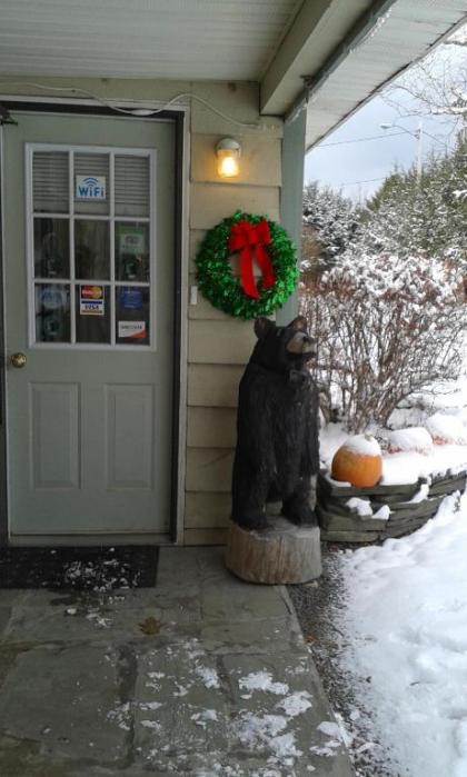 Black Bear Lodge - image 12