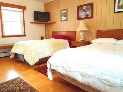 Black Bear Lodge - image 2