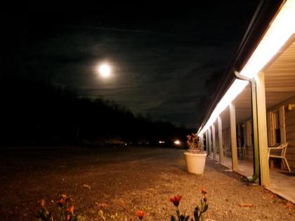 Black Bear Lodge - image 7