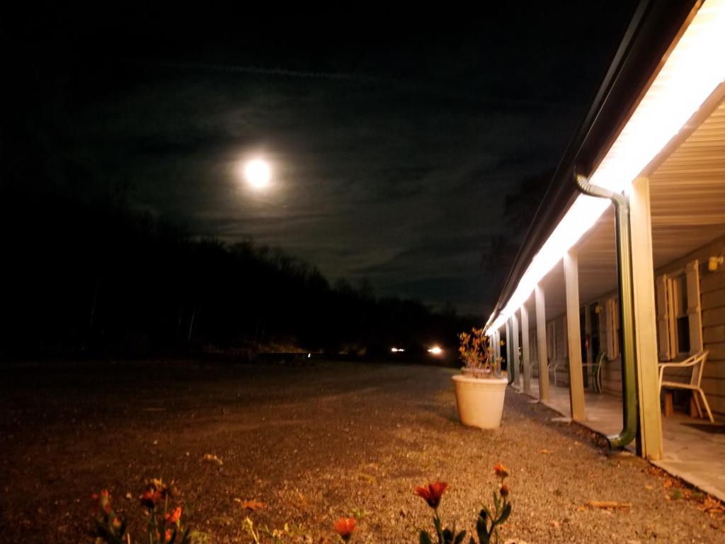Black Bear Lodge - image 7