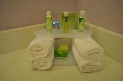Holiday Inn Express & Suites Price an IHG Hotel - image 4