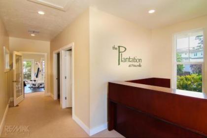 Plantations #1122