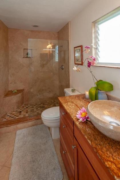 Alii Kai 3103 -watch for whales from oceanfront lanai! View from every window - image 9