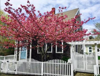 143 5 Min Walk to Water and Downtown Historic District 2 Parking Spaces Gas Fireplace Private Patio and Yard Air Conditioning