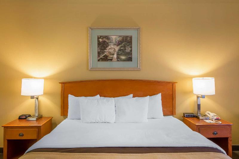 Quality Inn & Suites MidAmerica Industrial Park Area - image 5
