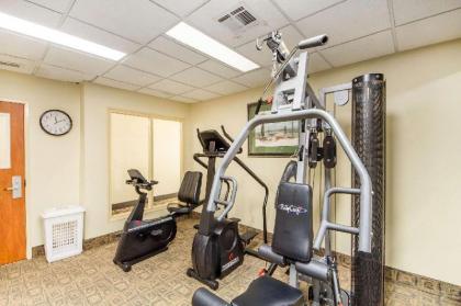 Quality Inn & Suites MidAmerica Industrial Park Area - image 6