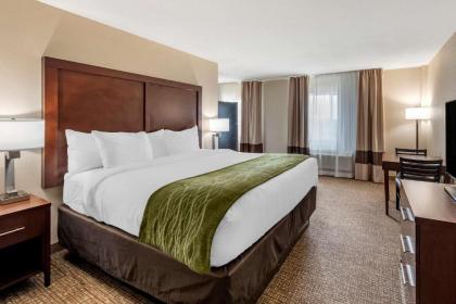 Comfort Inn & Suites Pueblo - image 13