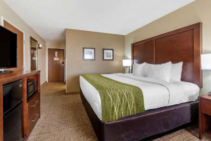 Comfort Inn & Suites Pueblo - image 9