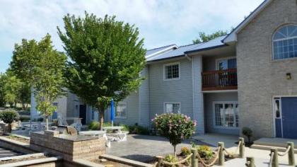 Put-in-Bay Poolview Condo #3
