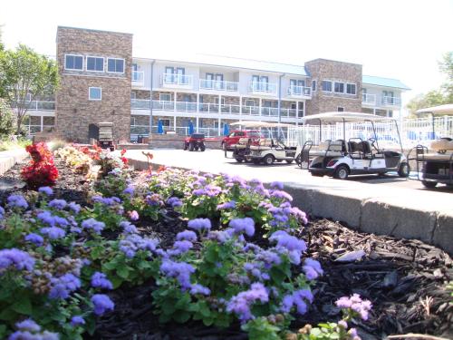 Put-In-Bay Waterfront Condo #108 - image 5