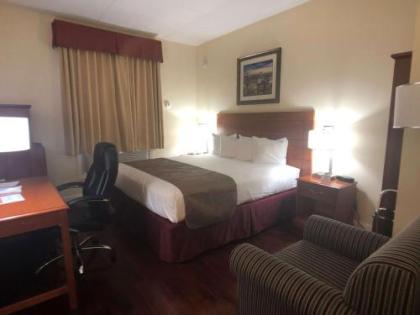 Best Western Jamaica Inn - image 15