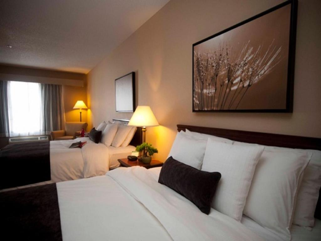 Town & Country Inn and Suites - image 3