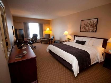 Town & Country Inn and Suites - image 4