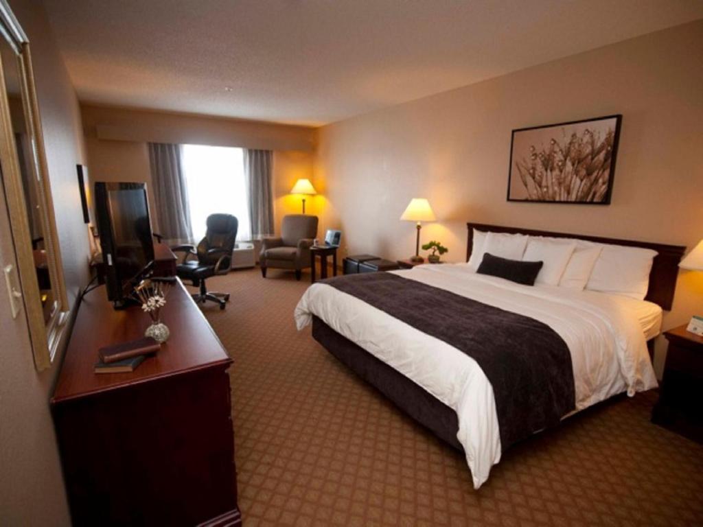 Town & Country Inn and Suites - image 4