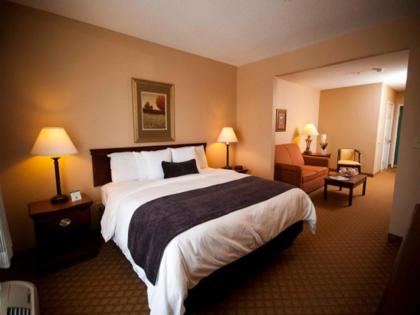 Town & Country Inn and Suites - image 9