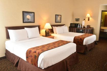 Stoney Creek Inn Quincy - image 5
