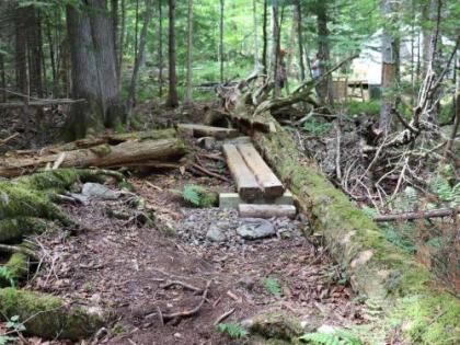 Tentrr State Parks - Rangeley Lake State Park: Lakeview - image 1