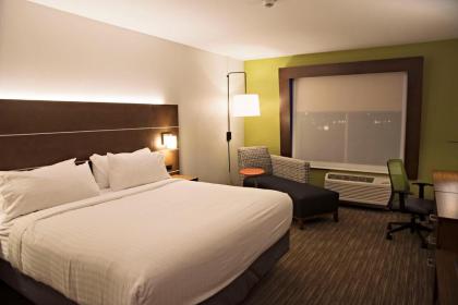 Holiday Inn Express & Suites - Rantoul an IHG Hotel - image 6