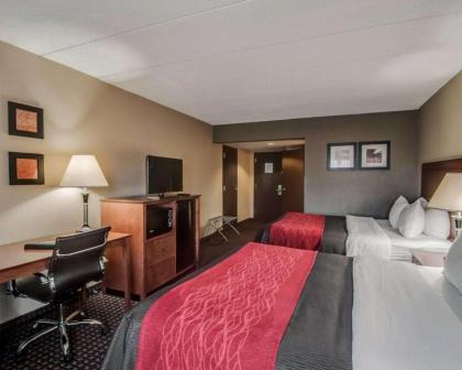 Comfort Inn & Suites Raphine - Lexington near I-81 and I-64 - image 14