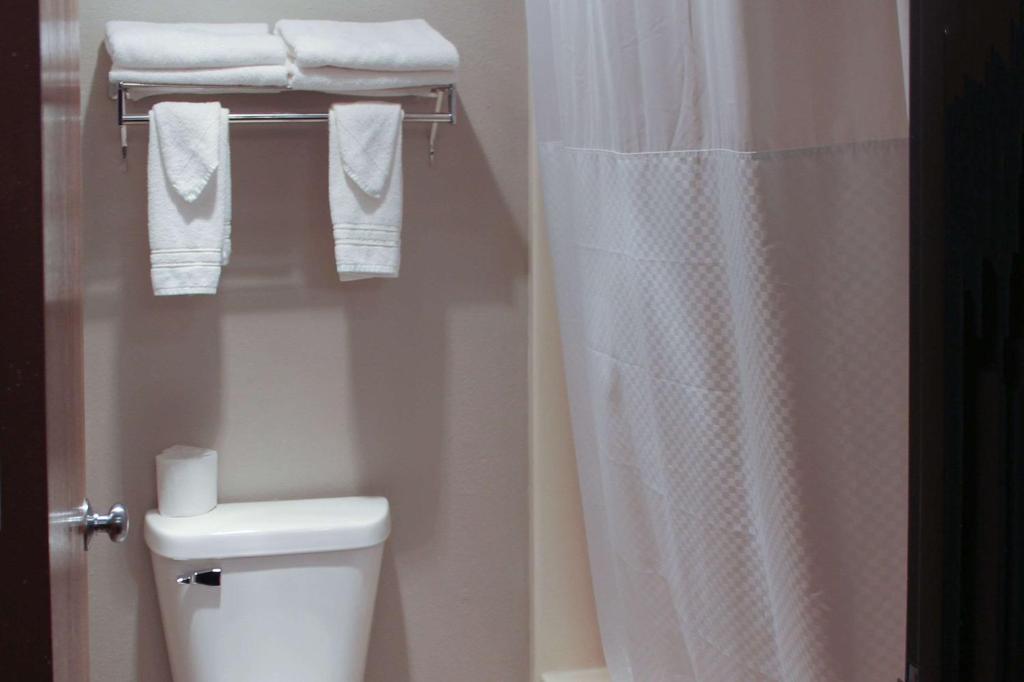 Rodeway Inn - image 3