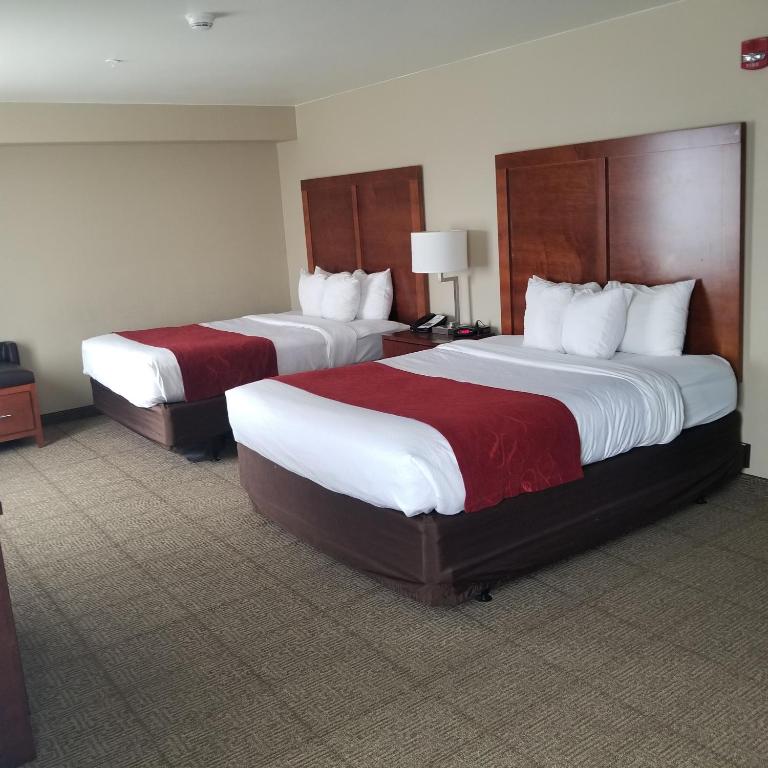Comfort Suites Redding - Shasta Lake - image 3