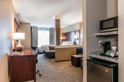 Comfort Suites Rensselaer near Fair Oaks - image 5