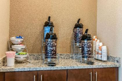 Comfort Suites Rensselaer near Fair Oaks - image 8