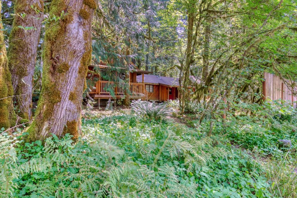 Alderwood - image 6