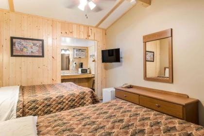 AmeriVu Inn and Suites - image 13