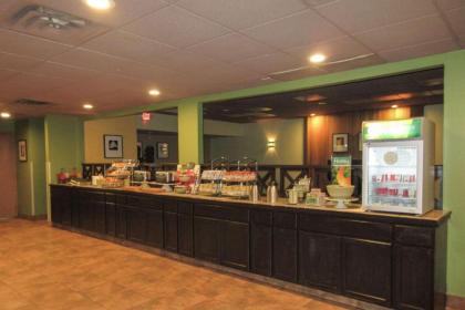 Quality Inn & Suites - image 11