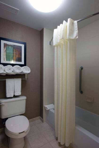 Homewood Suites by Hilton St. Louis - Galleria - image 8