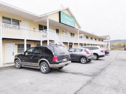 Countryside Inn Richmondville - image 2